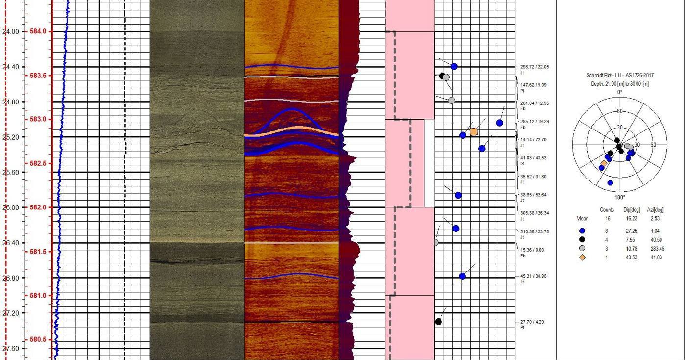Composite geophysical log with picked defects